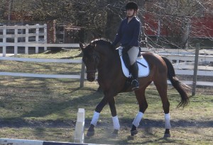 Imported Photos 01364